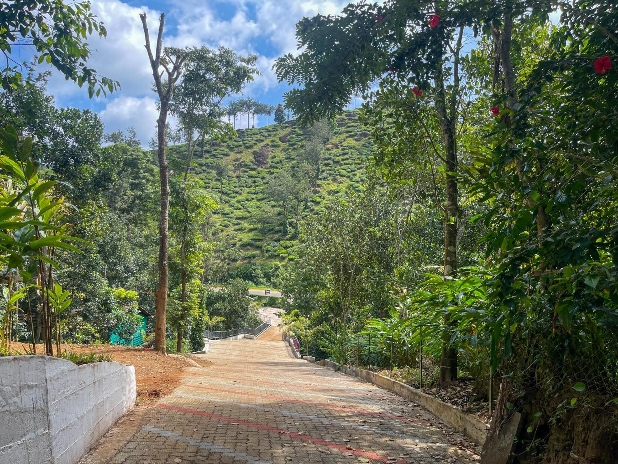 Snow Hills Resorts تيكَدِيْ المظهر الخارجي الصورة