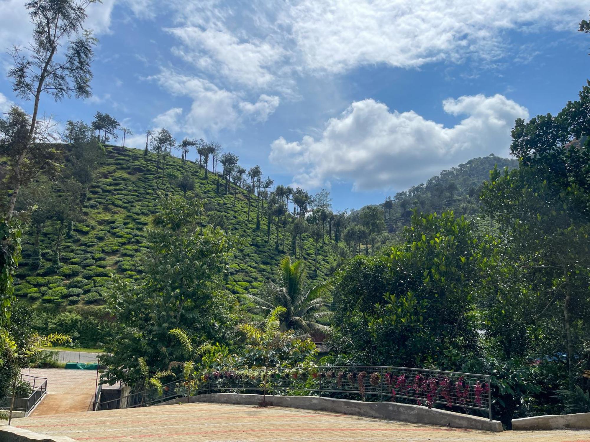 Snow Hills Resorts تيكَدِيْ المظهر الخارجي الصورة